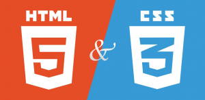 Видеокурс по "HTML5 и CSS3 с Нуля до Гуру"